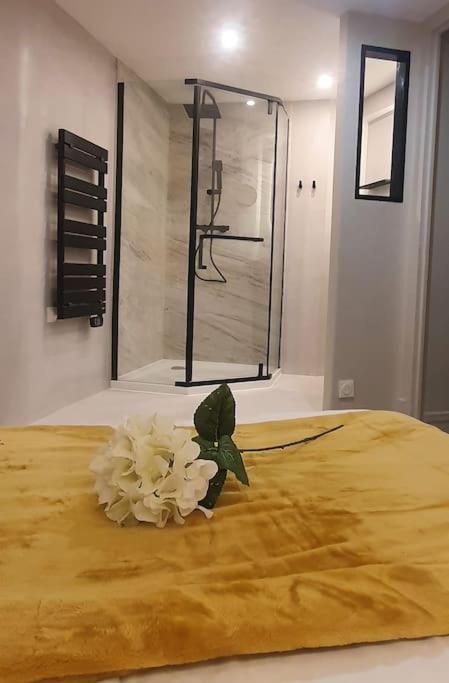 Suite Vinicole Hypercentre, Bastille & Gare 9 Min A Pied เกรอน็อบล์ ภายนอก รูปภาพ